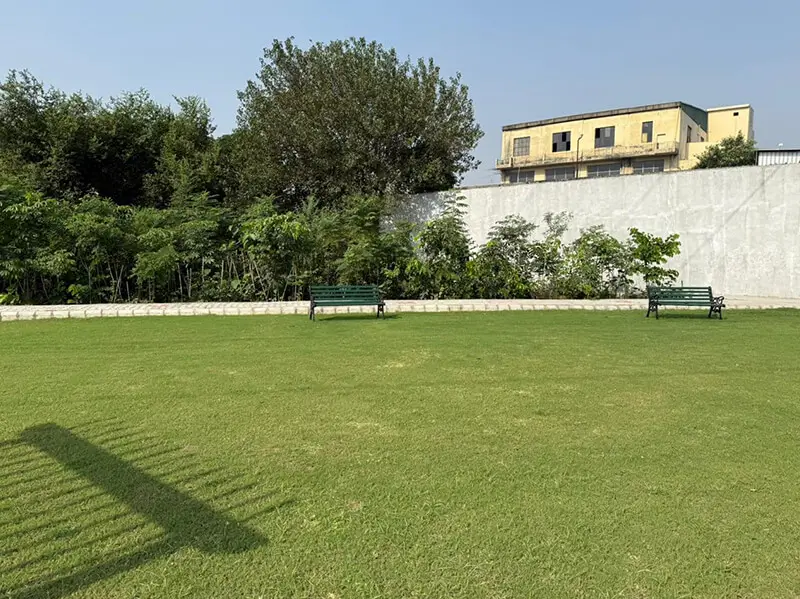 Miyawaki Urban Forest, Ludhiana