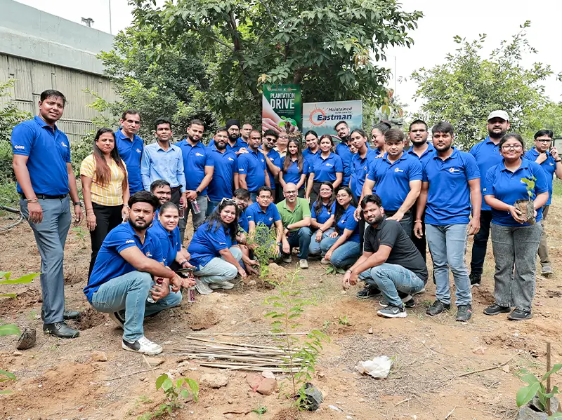 Tree Plantation Drives